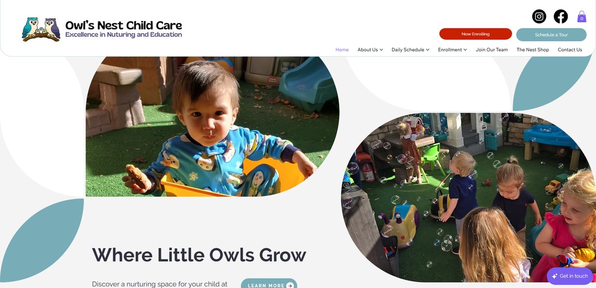 Owl's Nest Child Care website preview